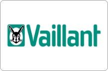 Depannage Pannetier Brahim Chauffagiste Vitre Vaillant Group Vector Logo